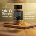 thumbnail image 4 of Zestiq Foods Organic Fenugreek Seeds (12 oz.) - Methi Seeds for Cooking & Herbal Use, Non-GMO, Vegan, Pure & Natural, 4 of 7