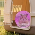 thumbnail image 6 of IUAMXWU Hamster Running Ball Toy - Pink 10x10cm Transparent Plastic for Small Pets, 6 of 6