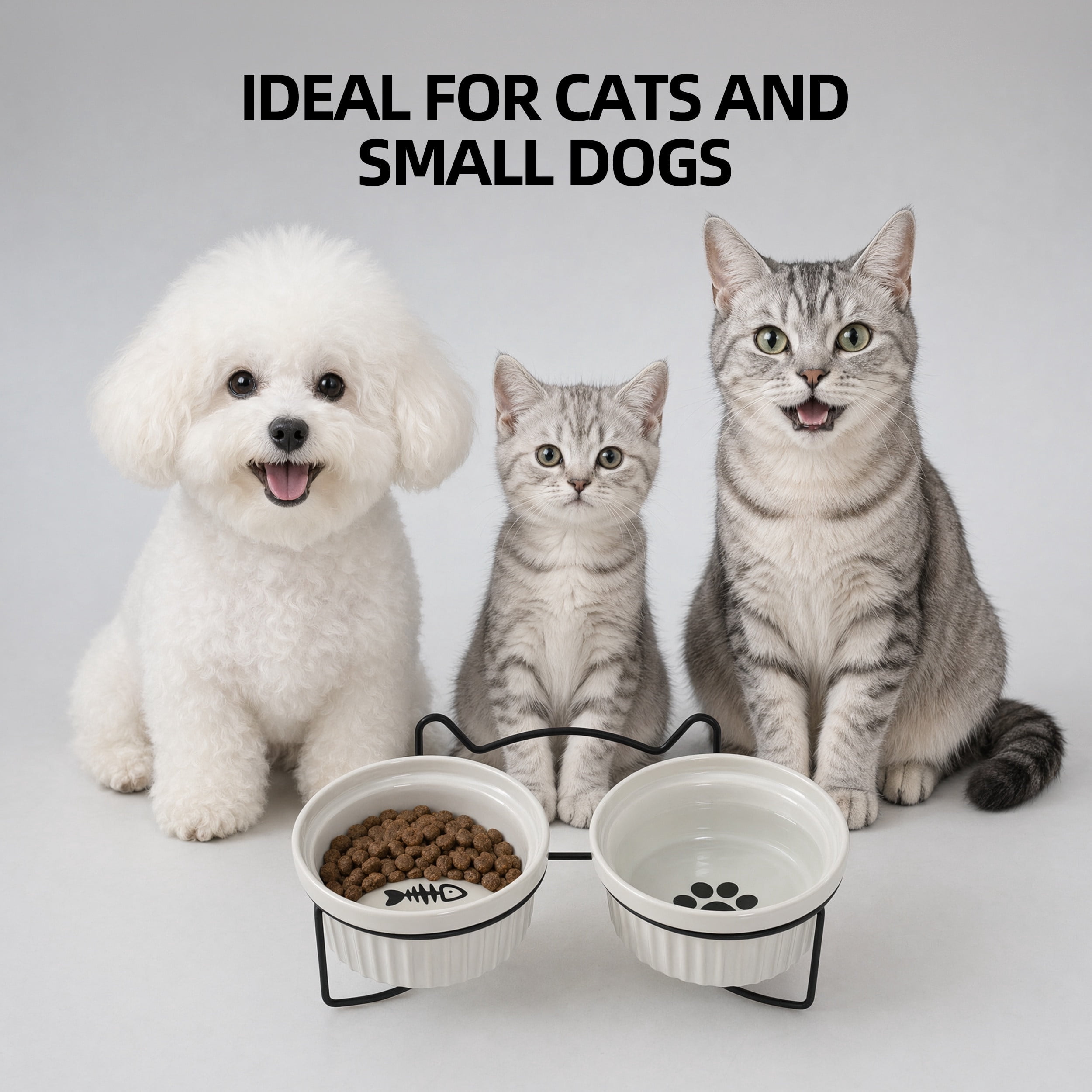Max & Marlow Ceramic Cat Bowls with Iron Stand, Double Cat Food and Water Bowls Set, Single 300ml