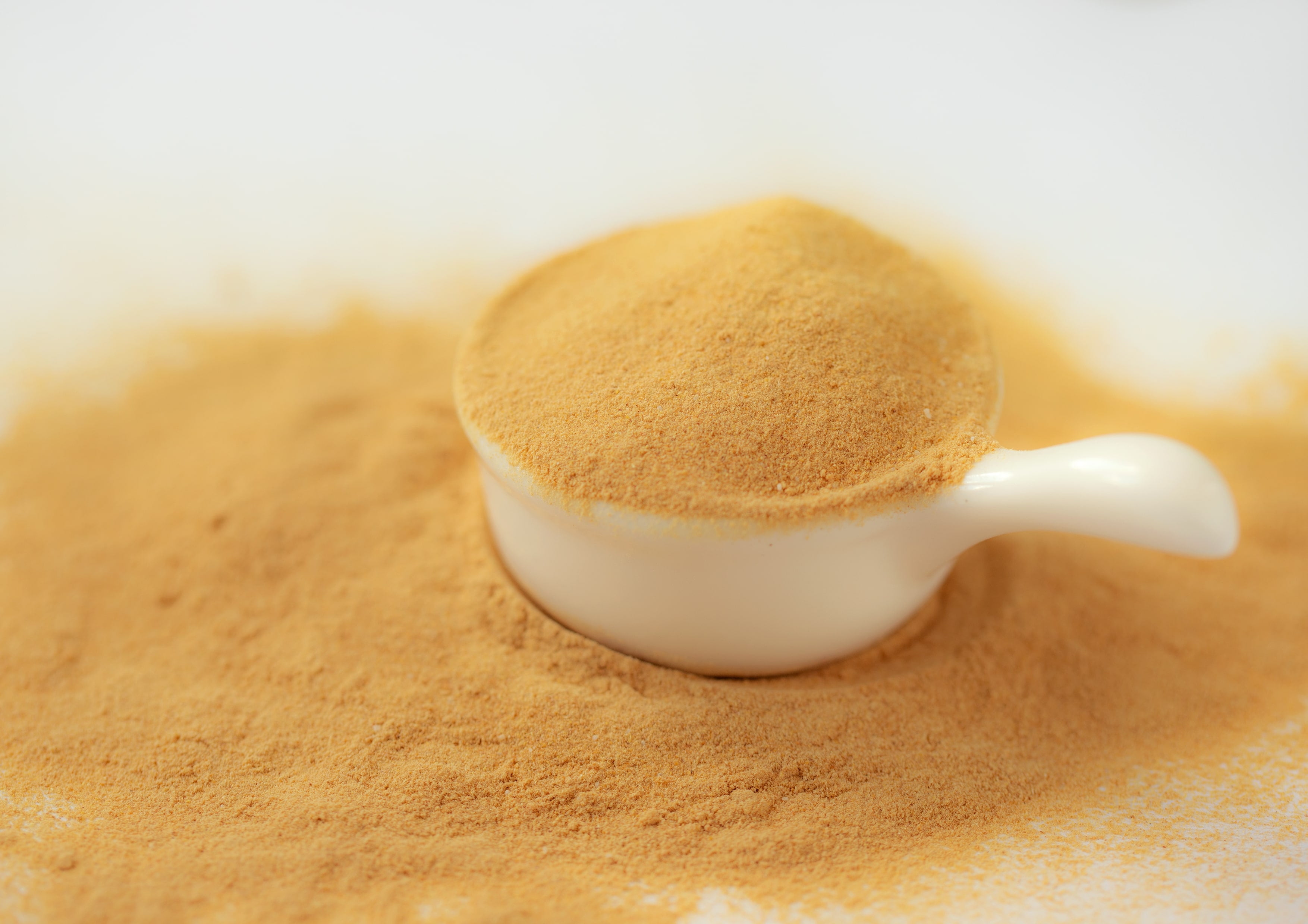 Papaya Powder, 0.75 Pounds  Raw, Kosher, Vegan  by Food to Live