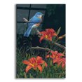thumbnail image 1 of Epic Art 'Edge of the Woods - Bluebird and Daylilies' by Mark Mueller Wildlife Art, Acrylic Glass Wall Art, 16"x24", 1 of 8