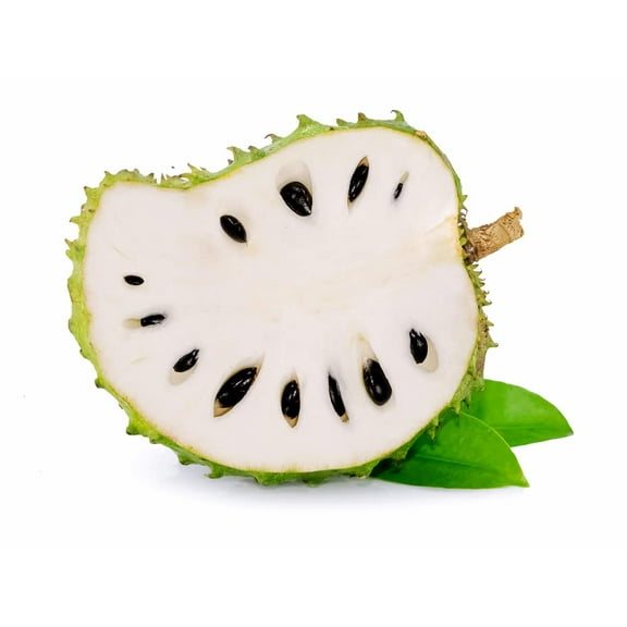 Soursop Fruit Tree Seeds for Planting - 5 Seeds - Annona muricata - Great for Bonsai or Patio Plant