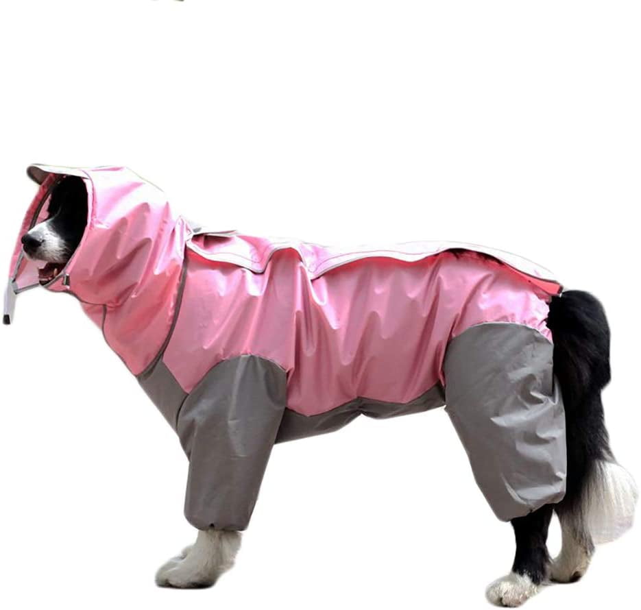 dog rain suit