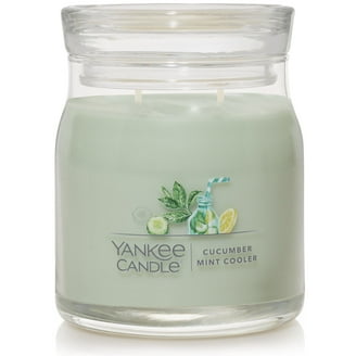 Yankee Candle Aloe & Agave Large 2-Wick Signature Jar Candle - Walmart.com