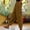 Brown, variant on Corduroy Pants for Women, Elastic Waist Wide Leg Casual Trousers with Side Button, Solid Color Comfy Long Pants