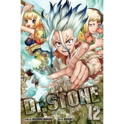 RIICHIRO INAGAKI; BOICHI Dr. STONE: Dr. STONE, Vol. 12 (Series #12) (Paperback)