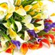thumbnail image 3 of Husfou - Flores artificiales de cala, plantas artificiales decorativas, macetas colgantes falsas para porche, decoración para el hogar y exteriores, paquete de 12, 3 of 6