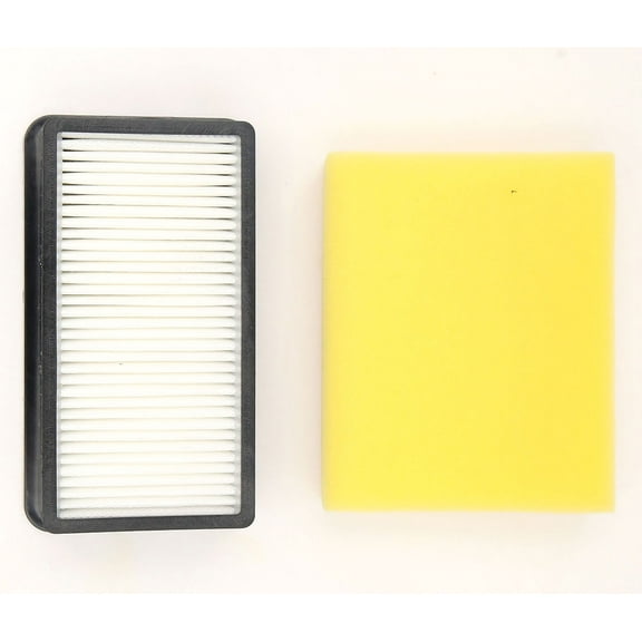 BISSELL CLEANVIEW FILTER SET, CLEAN OBSESSED (1 PRE, & 1 POST HEPA MOTOR FILTER) (REPLACES #203-2662 & 203-2663)