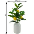 thumbnail image 3 of Mainstays 16” Indoor Artificial Lemon Plant in White Ceramic Pot, 3 of 6