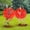 36" Red, variant on Giant Sumo Balls, Blow Up Sumo Suits for Adults, Inflatable Bumper Balls, Human Hamster Bubble Ball for Outdoor Games, Bouncing Rolling Party Activity