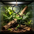 thumbnail image 2 of Reptile Climbing Loops,Three Rings Snake Climbing Rings for Ball Python | Terrarium Habitat Decor | Snakes Tank Accessories for Climb Toys, 2 of 6