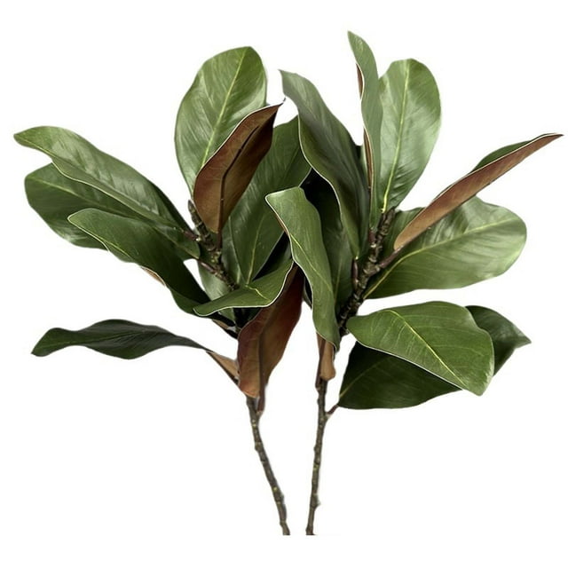 Ensemble de 2 Branches de Magnolia Réalistes pour Décoration Intérieure et Extérieure