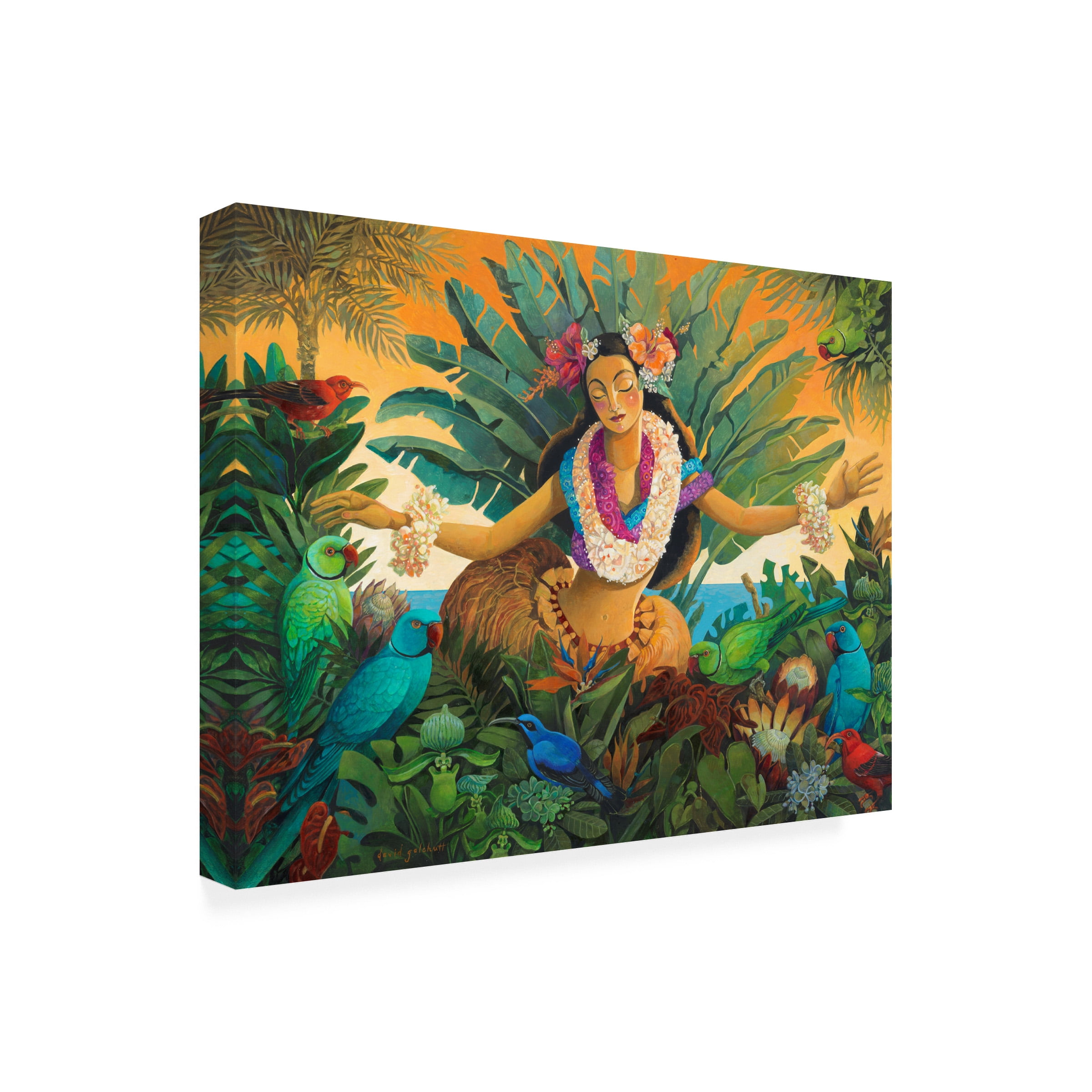 Canvas Wall Art - David Galchutt 'Aloha' Wall Art for Living Room, Bedroom, or Office DÃ©cor by Trademark Fine Art - 24 x 18 Inches