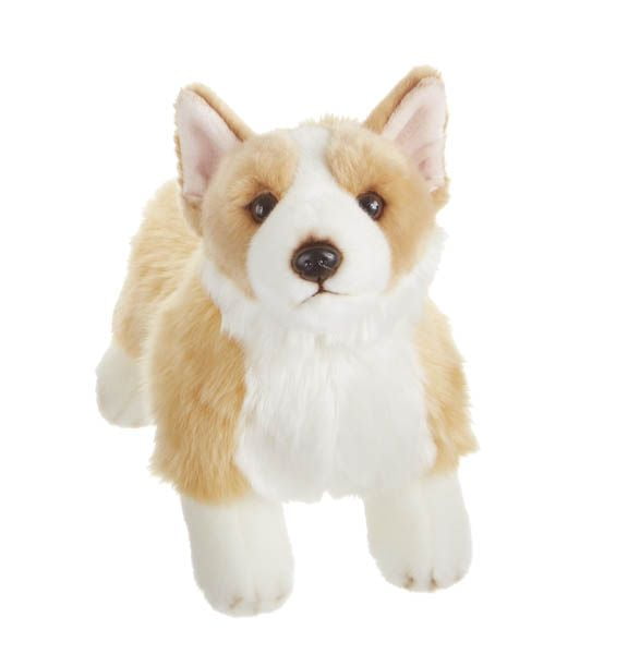 stuffed corgi