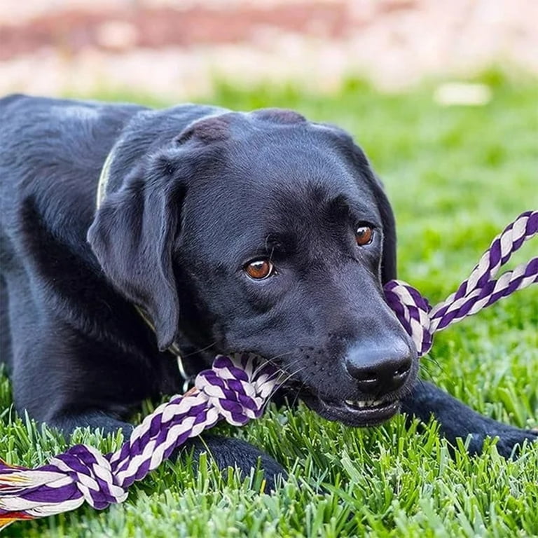 WEPSEN 9 Pack Rope Dog Chew Toys for Aggressive Chewers photo 4