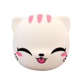 thumbnail image 1 of Naiovety 1000mA Colorful Cat Night Light LED Colorful Cat Silicone Night Light Carga USB Pat Light con luz para dormir para dormitorio Lectura nocturna Iluminación y accesorios Naiovety HA015721-00, 1 of 1