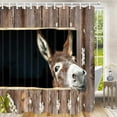 thumbnail image 2 of SPXUBZ Funny Donkey Shower Curtains, Farm Animal Donkey Shower Curtain Set with 12 Hooks 72X72inches, 2 of 7