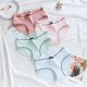 thumbnail image 1 of 4Pcs/Lot Girls Cotton Underwear Cute Knot Soft Breathable Briefs Young Girl Panties Solid girl Briefs Children ClothesGreen He Qiyong unisex, 1 of 1