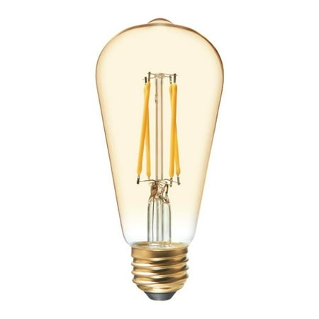 GE LED 6W (60W Equivalent) Vintage ST19 General Purpose Bulbs, Amber Finish, Straight Filament, Medium Base 2pk