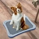 thumbnail image 1 of Bandeja de baño para entrenamiento de gatos y mascotas, bandeja para orinar para cachorros, caja de ropa de cama antideslizante lavable, bandeja para Azul Fernando Baño de perros, 1 of 8