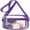 Mini Purple, variant on Clear Bag Stadium Approved, Clear Purse with Adjustable Shoulder Strap for Sports
