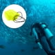 thumbnail image 5 of de buceo cilindro York válvula tapa de polvo enchufe equipo de buceo Amarillo shamjiam Válvula del tanque de buceo, 5 of 9