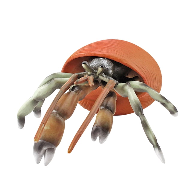 Dvkptbk Children's Simulation Marine Life Model Solid Hermit Crab Animal Model Decoration Toys