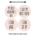 thumbnail image 6 of Baby Monthly Stickers | Baby Milestone Stickers | Newborn Stickers | Month Stickers for Baby Girl | Baby Girl Stickers | Newborn Monthly Milestone Stickers (Set of 24), 6 of 6