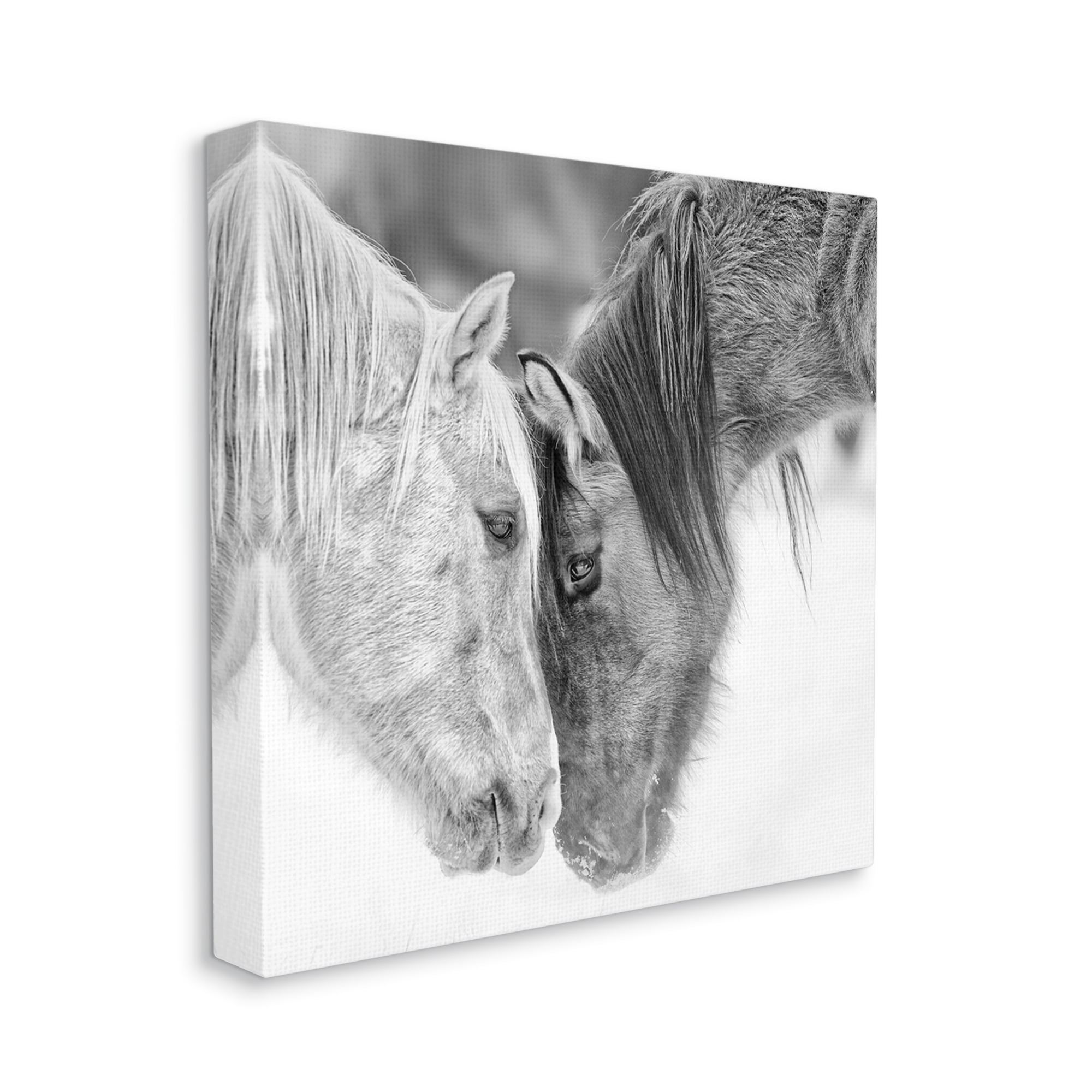 Stupell Industries Horse Hug Photography Animals & Insects Photography Gallery Wrapped Canvas Art Print Wall Art, 36 x 36