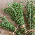 thumbnail image 3 of Set of 2 English Thyme Live Herb Plants, 3-6 Inch Tall, Thyme Plant, Fragrant Plants for Outdoor Garden and Indoor Container Growing, No Pot Included, 3 of 5