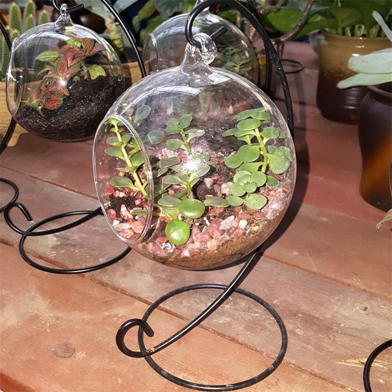 Hanging Glass Ball Vase Fish Aquarium Tank Glass Terrarium for succulent Plant 