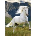 thumbnail image 1 of Diamond Painting (DE5432) DIY Horse Picture Decor Square Animal Kit 20X30cm Blanco Hugtrwg Para estrenar, 1 of 1