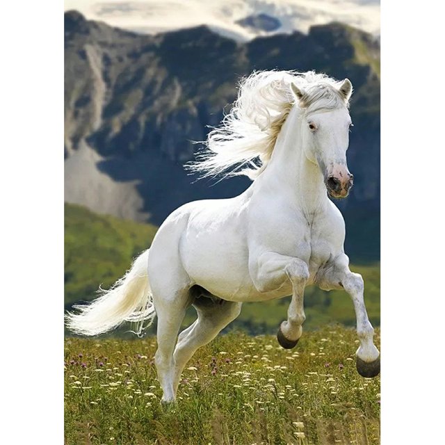 Diamond Painting (DE5432) DIY Horse Picture Decor Square Animal Kit 20X30cm Blanco Hugtrwg Para estrenar