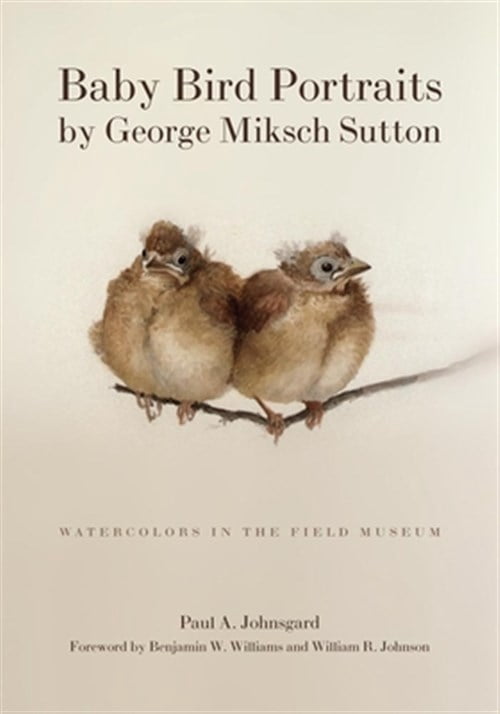 Pre-Owned Baby Bird Portraits by George Miksch Sutton: Watercolors in the Field Museum (Paperback) 080613769X 9780806137698