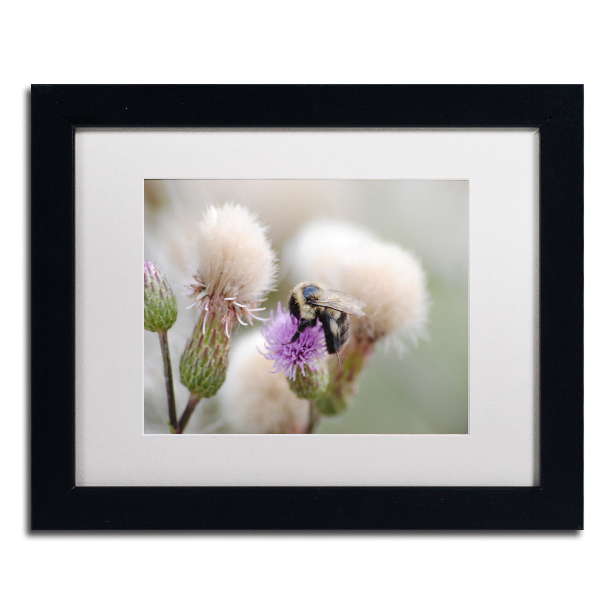 Trademark Fine Art "Defeated" Canvas Art by Monica Mize, White Matte, Black Frame