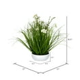 thumbnail image 2 of Vickerman 16.5" Artificial Potted Cream Cosmos and Green Grass., 2 of 3