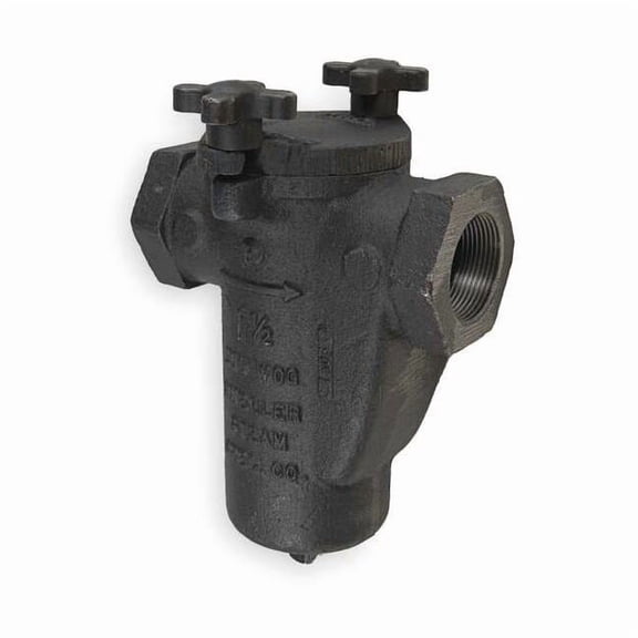 Basket Strainer, 1-1/4" Pipe, FNPT x FNPT, Cast iron, 200 psi at 150 Degrees F