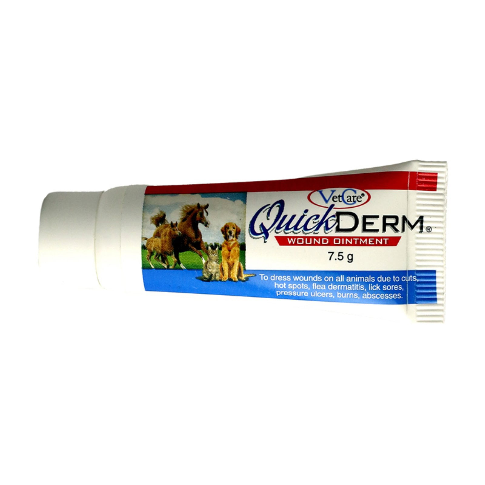 Forticept Blue Butter Antimicrobial Gel, Antiseptic Hydrogel Dogs Wound