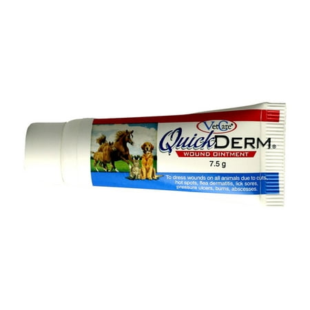 VetCare Quickderm Wound Ointment for Dogs Cats and (Best Antibiotic For Cat Abscess)