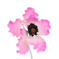 thumbnail image 2 of O'Creme Anemone Gumpaste Sugar Flower 3-1/4 Inch, 6 Pieces Pink, 2 of 2