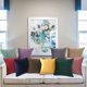 thumbnail image 2 of Funda de cojín de terciopelo suave, cojines decorativos, funda de almohada, colores sólidos suaves, decoración del hogar de lujo, sala de estar, sofá, asiento, café, 2 of 5