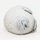 thumbnail image 2 of 60cm Seal Animal Pillow, Chubby Blob Seal Pillow Cute Seal Stuffed Animal Cotton Plush Animal Pillow Cómodo Soft Seal Hugging Pillow Back Pillow, Grey Xemadio LL-1815-3, 2 of 5