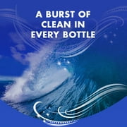 ARM & HAMMER Clean Burst, 170 Loads Liquid Laundry Detergent, 255 Fl oz