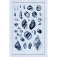 thumbnail image 3 of Sowerby, G.B. 11x14 Black Modern Framed Museum Art Print Titled - Shells: Sessile Cirripedes #2 (Blue), 3 of 5