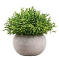 thumbnail image 1 of Artificial Plant Potted Lifelike Round Fake Greenery Plant Faux Plant Decoration, 1 of 10