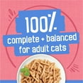 thumbnail image 6 of (24 pack) Purina Friskies Shreds With Salmon in Sauce Wet Cat Food, 6 of 10
