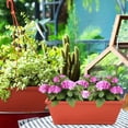 thumbnail image 7 of Rongsi Window Box Planter, 7 Pack Plastic Vegetable Flower Planters Boxes 17 Inches Rectangular Flower Pots with Saucers for Indoor Outdoor Garden, Patio, Home Decor (Red), 7 of 7