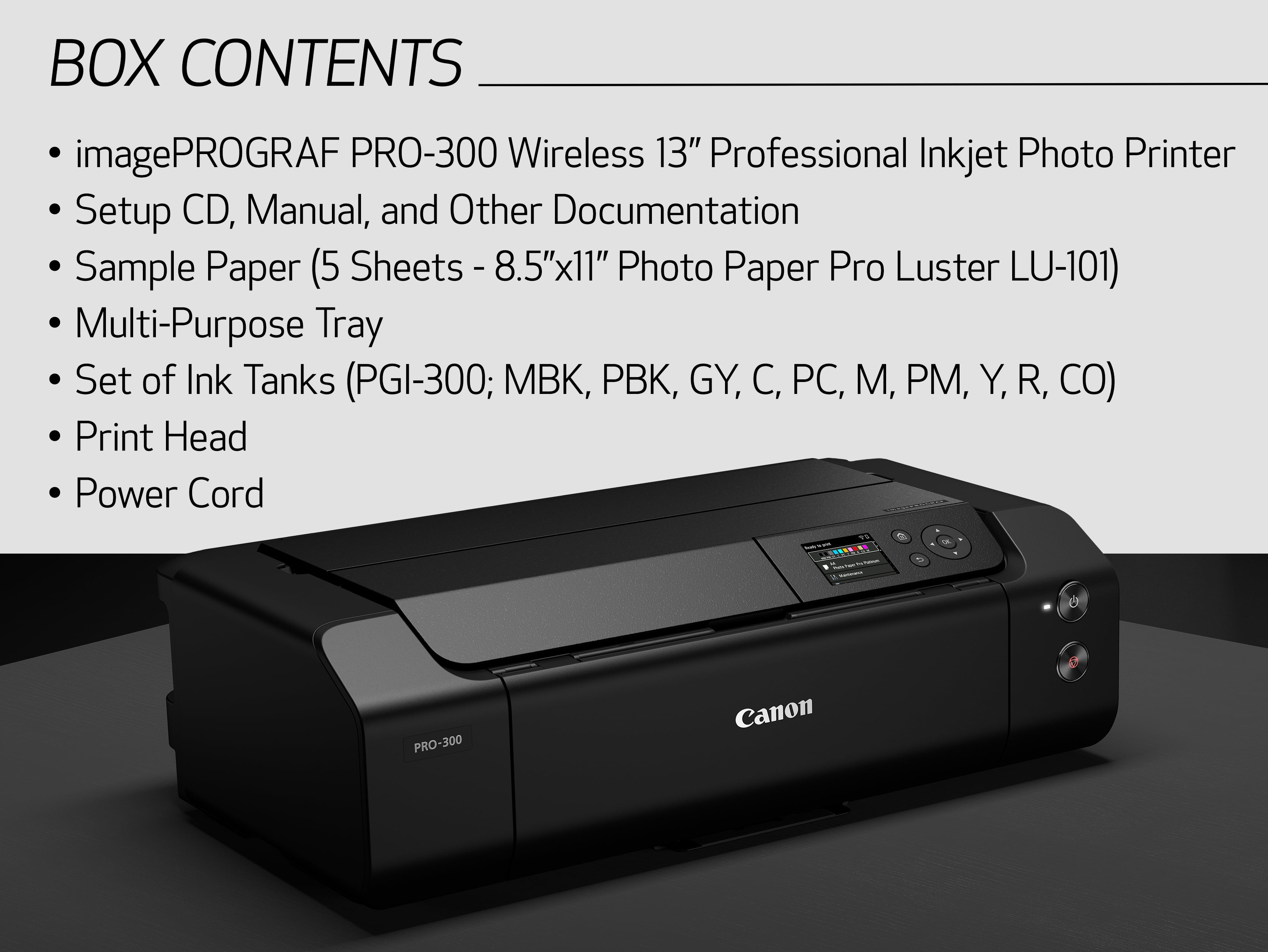 Canon imagePROGRAF PRO-300 13 Professional Photographic