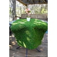thumbnail image 2 of SuperMoss InstantGreen Moss Mat - 4 x 1.5 feet, 2 of 10