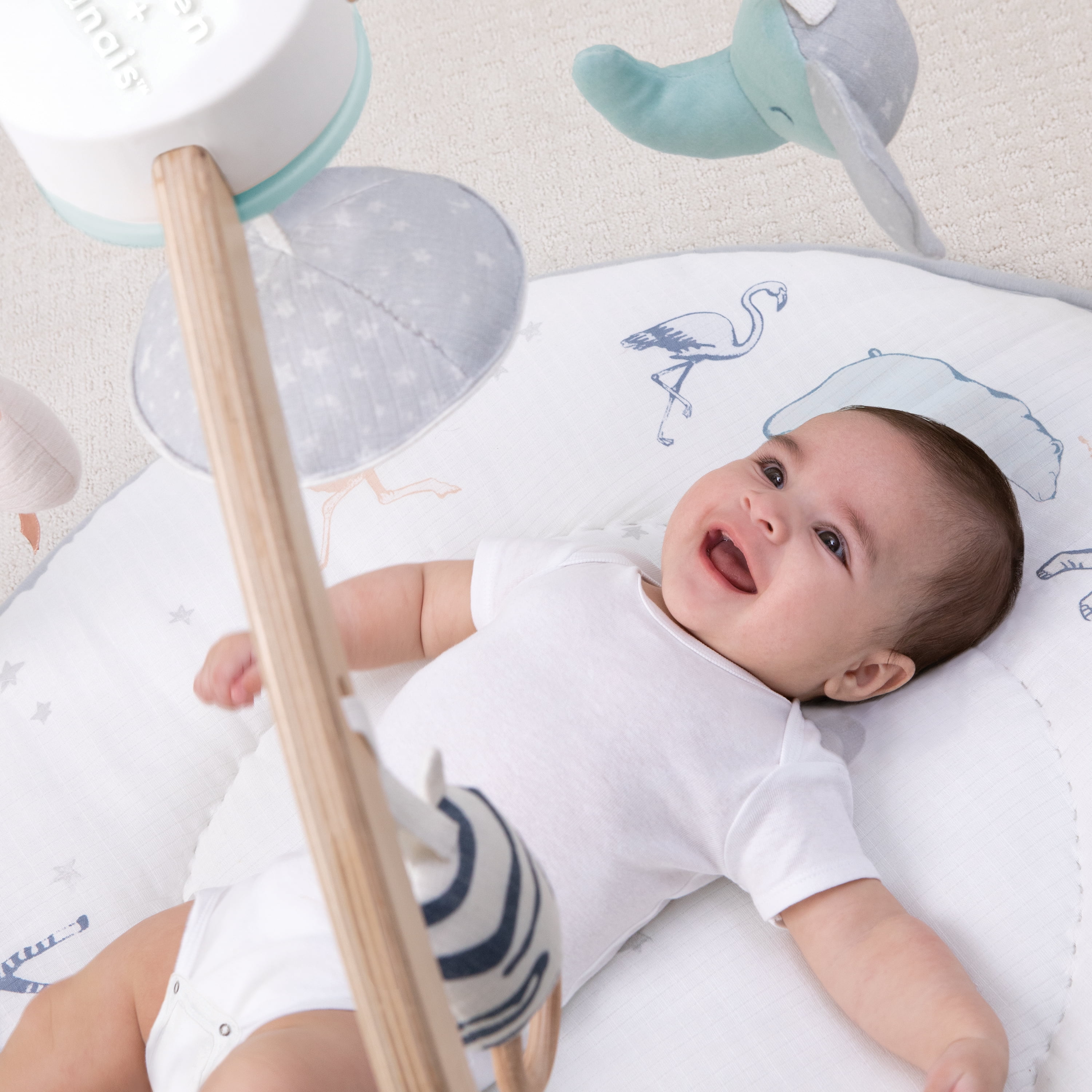 aden anais Newborn Infant Activity Gym - 30+ Developmental aden anais Newborn Infant Activity Gym - 30+ Developmental